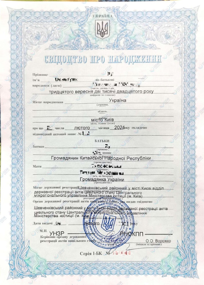 贝贝树海外试管婴儿案例出生证 - 左侧图 