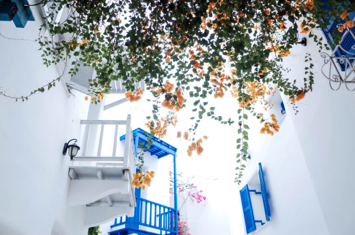 第三代试管婴儿技术详解图1