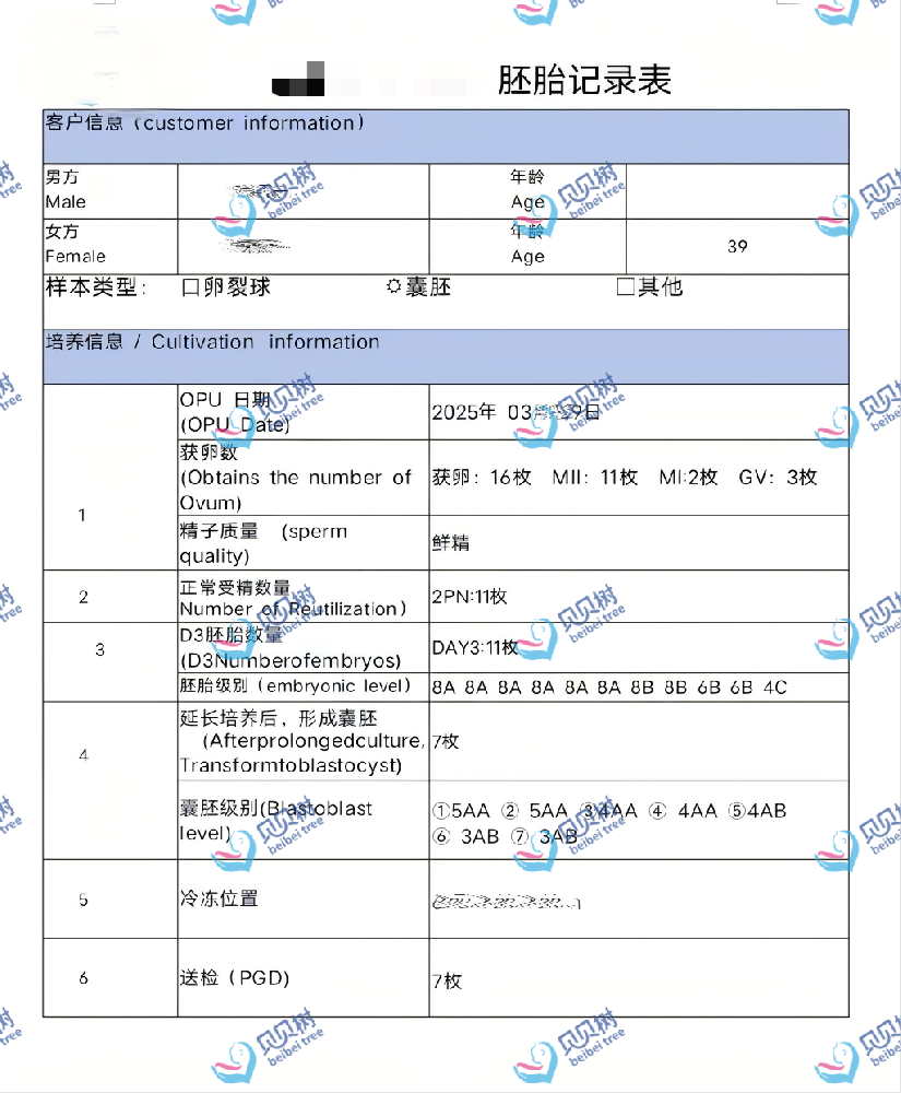 贝贝树海外试管胚胎报告案例 - 左侧图 