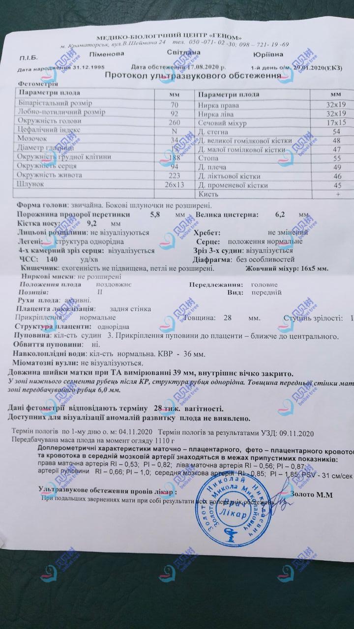 贝贝树海外试管旅行证与医院检查单案例 - 右侧图 