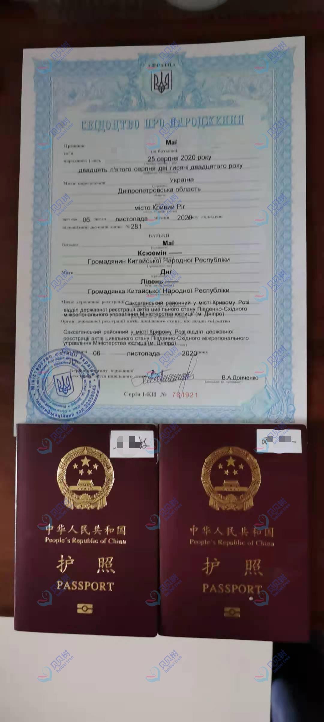 贝贝树美国辅助生殖线下证件办理案例 - 右侧图 