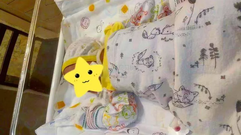 从职场女性到准妈妈：泰国冻卵如何帮她抓住“生育黄金期”？