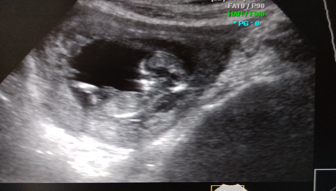 试管服务机构的专业团队建设与人才培养机制