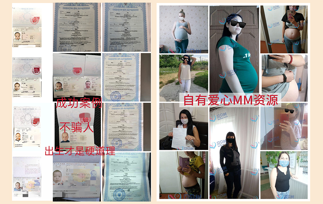 泰国冻卵研究投入增加:科技创新成发展核心