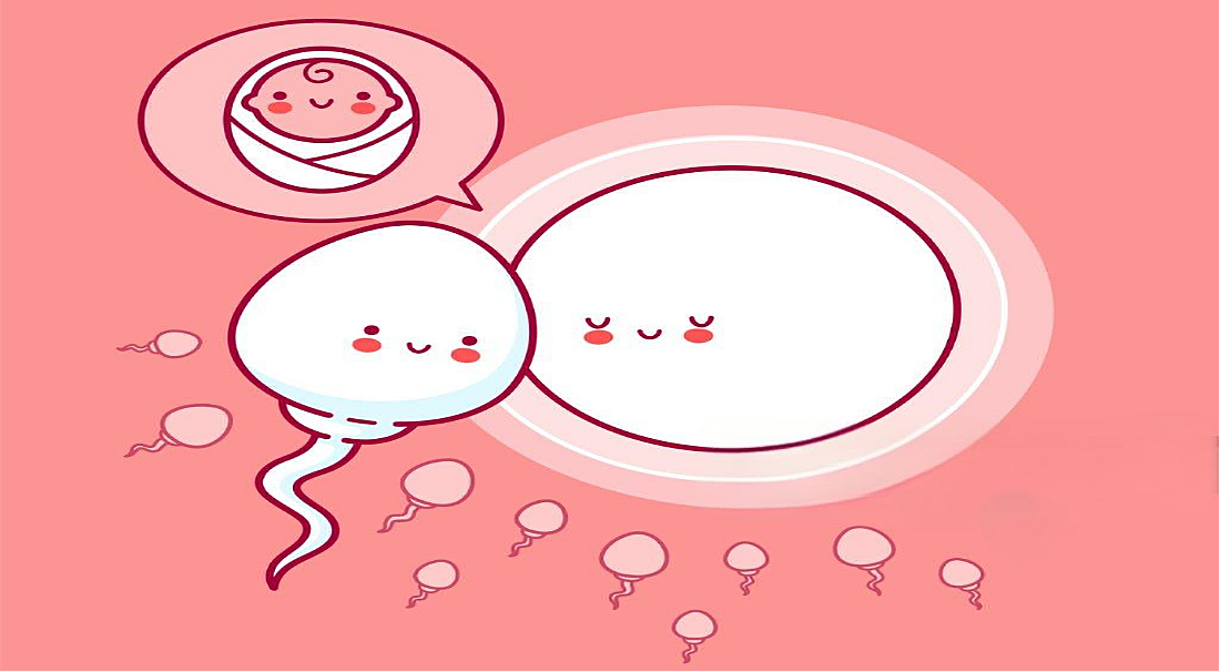 泰国冻卵个性化方案增多:满足不同客户需求