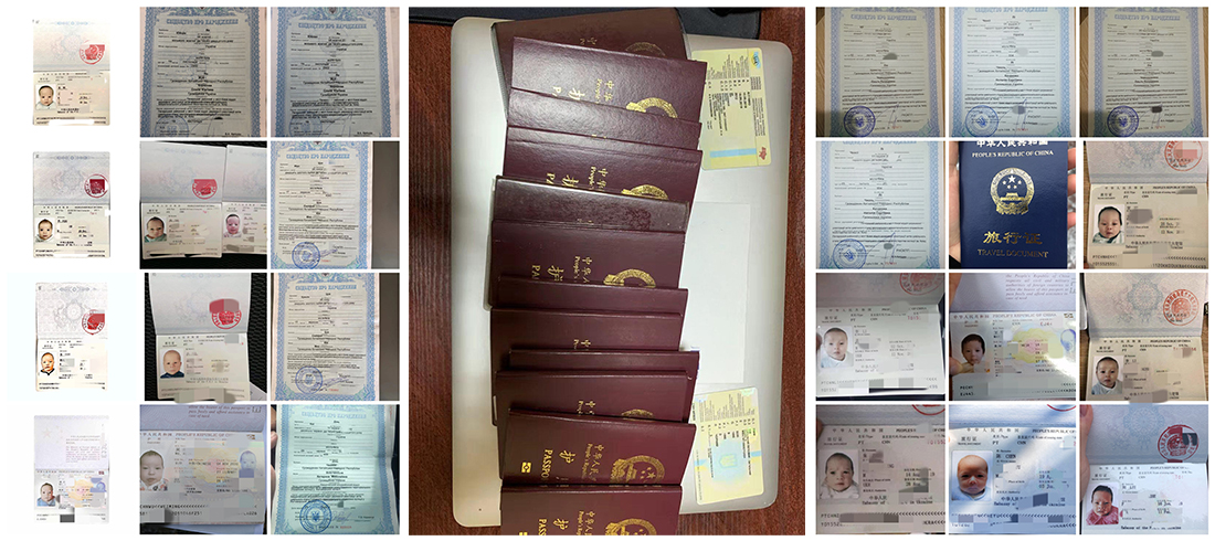 泰国冻卵为医疗旅游注入活力：带动相关产业发展