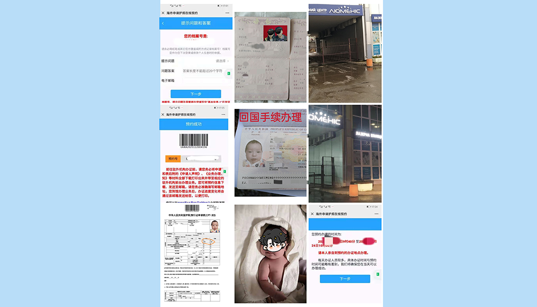 试管咨询中介推动个性化生育方案，满足多元需求