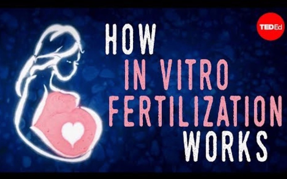 TED：How In Vitro Fertilization (IVF) Works