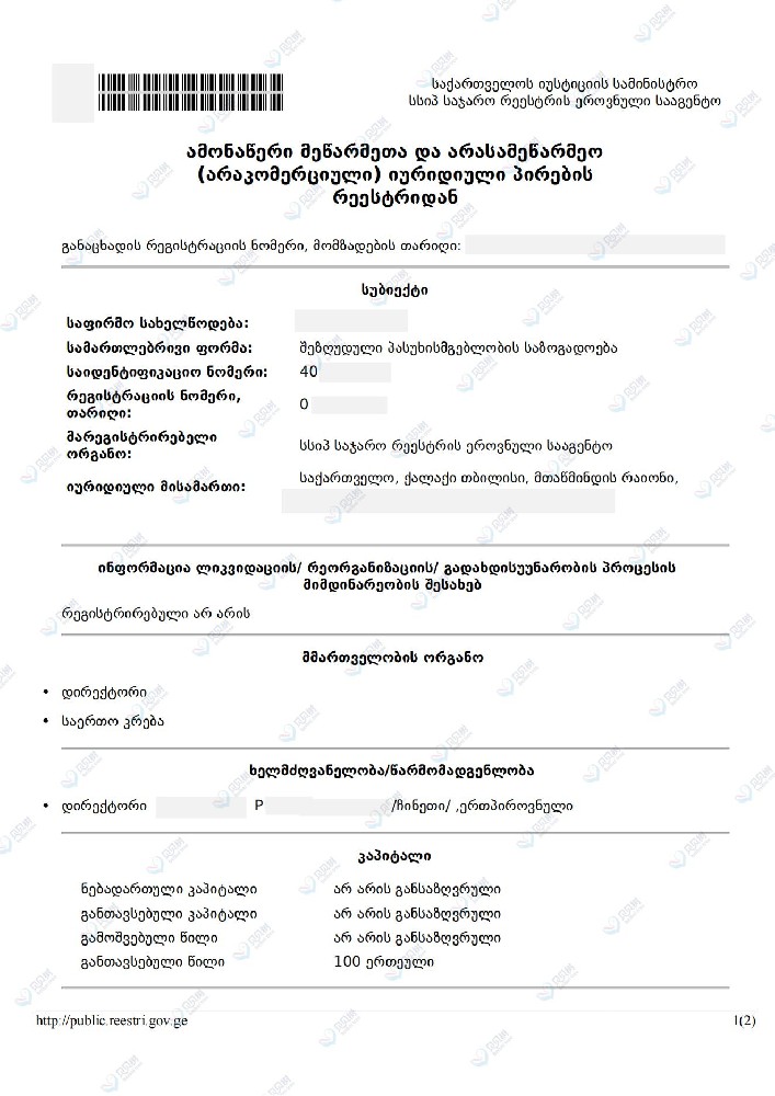 Georgia company registration