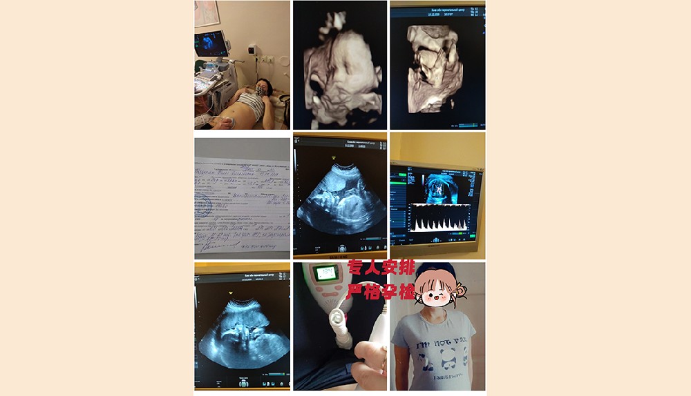 国内试管咨询中介平台创新模式，提升服务可及性